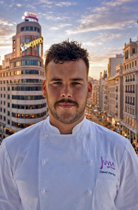 David Vignaud